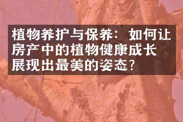 植物养护与保养：如何让房产中的植物健康成长，展现出最美的姿态？