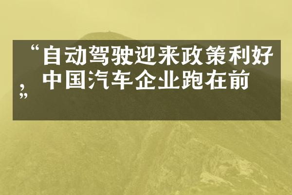 “自动驾驶迎来政策利好，中国汽车企业跑在前列”