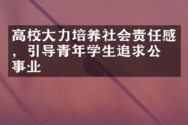 高校力培养社会责任感，引导青年学生追求公益事业