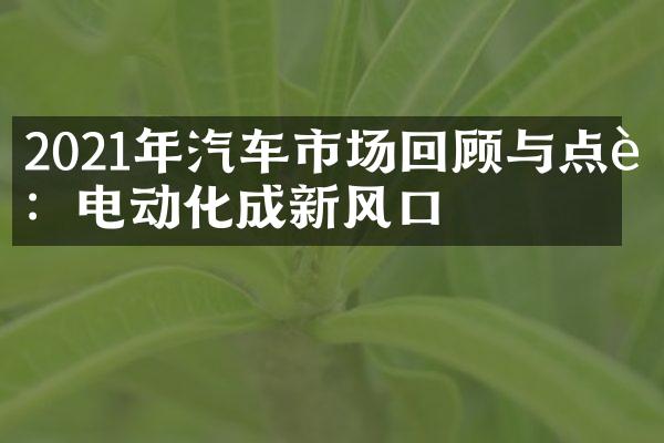 2021年汽车市场回顾与点评：电动化成新风口