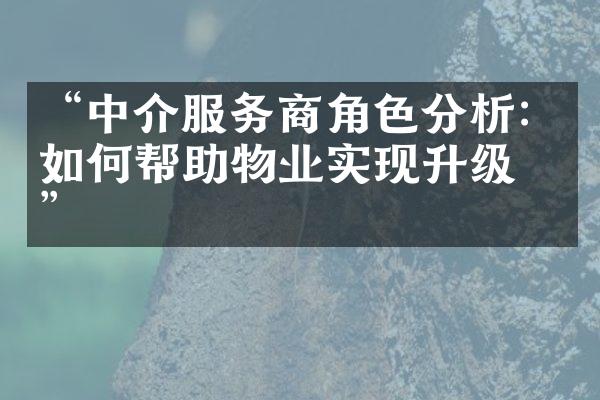 “中介服务商角色分析：如何帮助物业实现升级？”