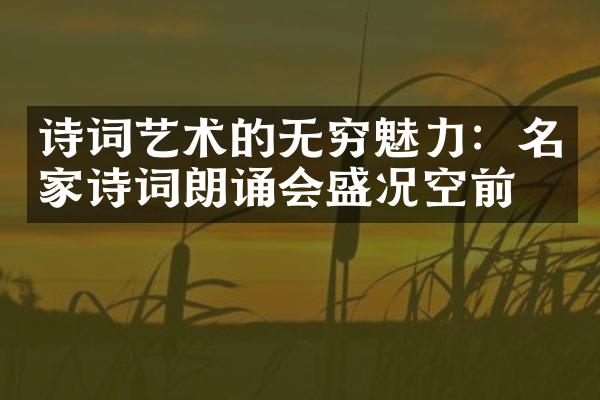 诗词艺术的无穷魅力：名家诗词朗诵会盛况空前