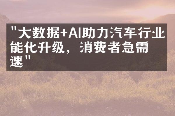 "大数据+AI助力汽车行业智能化升级，消费者急需提速"