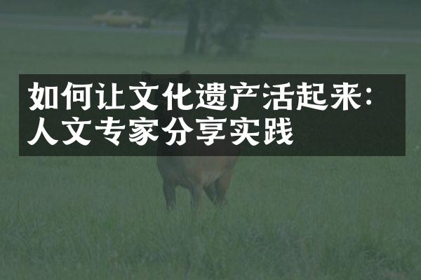 如何让文化遗产活起来：人文专家分享实践