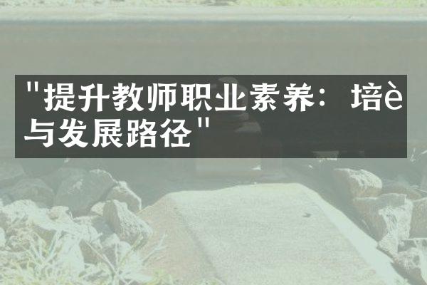 "提升教师职业素养：培训与发展路径"