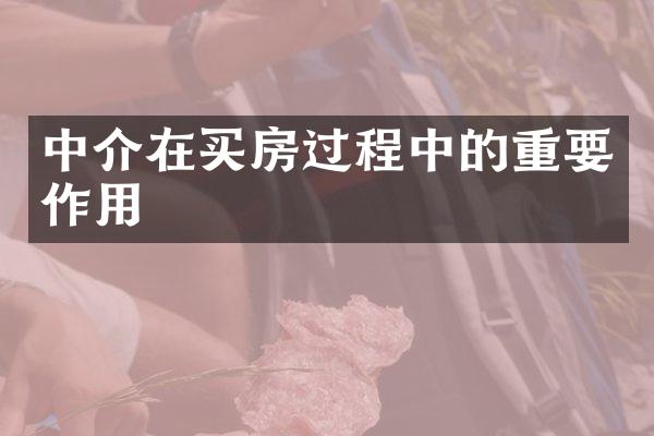 中介在买房过程中的重要作用