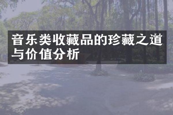 音乐类收藏品的珍藏之道与价值分析