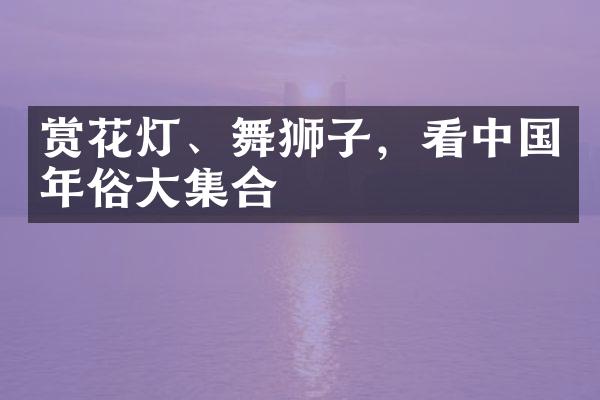 赏花灯、舞狮子，看年俗集合