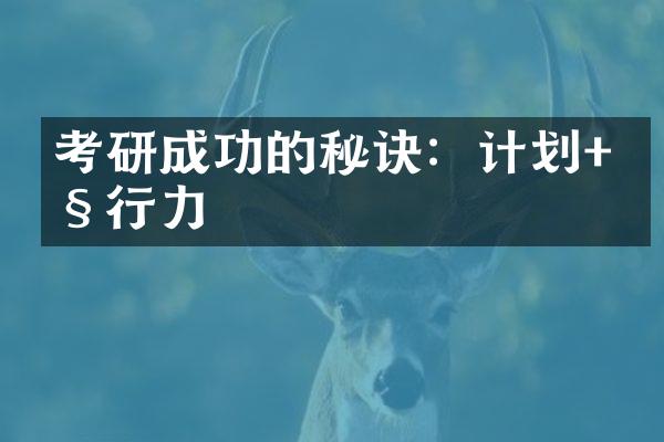 考研成功的秘诀：计划+执行力