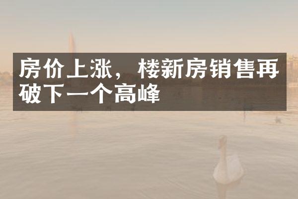 房价上涨，楼新房销售再破下一个高峰