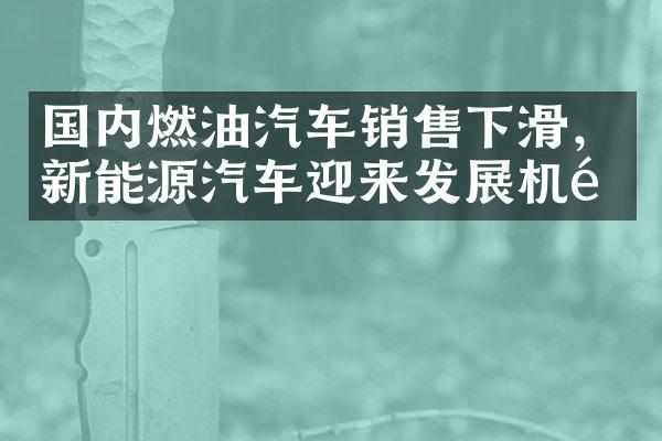 国内燃油汽车销售下滑，新能源汽车迎来发展机遇