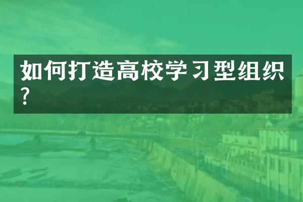 如何打造高校学习型组织？