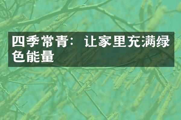 四季常青：让家里充满绿色能量