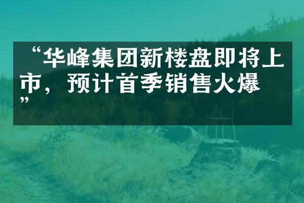 “华峰集团新楼盘即将上市，预计首季销售火爆！”