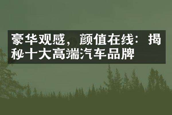 豪华观感，颜值在线：揭秘十大高端汽车品牌