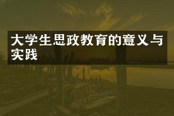 大学生思政教育的意义与实践