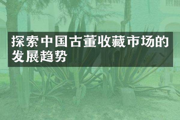 探索中国古董收藏市场的发展趋势