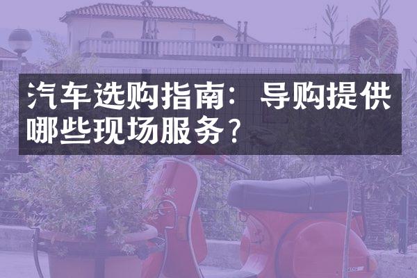 汽车选购指南：导购提供哪些现场服务？