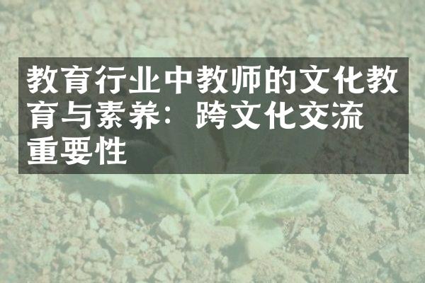 教育行业中教师的文化教育与素养：跨文化交流的重要性