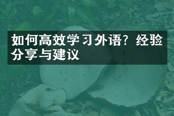 如何高效学习外语？经验分享与建议