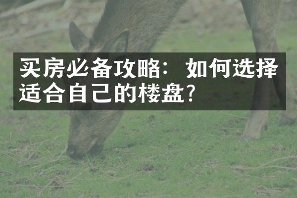 买房必备攻略：如何选择适合自己的楼盘？