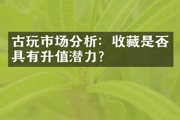 古玩市场分析：收藏是否具有升值潜力？