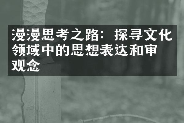 漫漫思考之路：探寻文化领域中的思想表达和审美观念