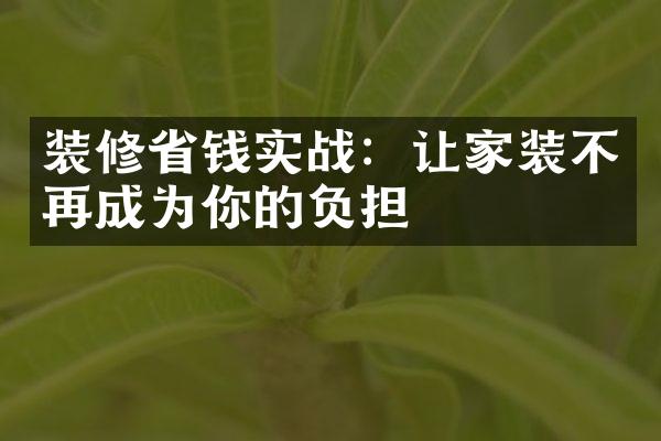 装修省钱实战：让家装不再成为你的负担