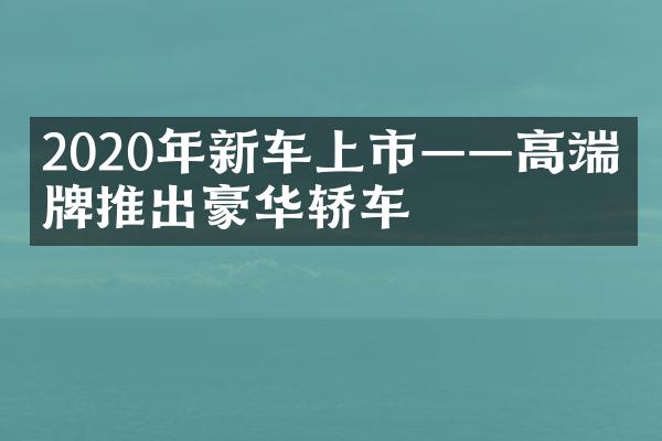 2020年新车上市——高端品牌推出豪华轿车