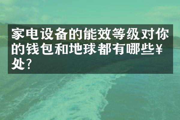 家电设备的能效等级对你的钱包和地球都有哪些好处？