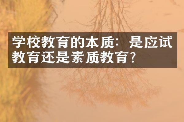 学校教育的本质：是应试教育还是素质教育？