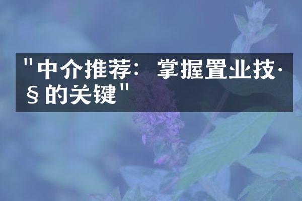 "中介推荐：掌握置业技巧的关键"