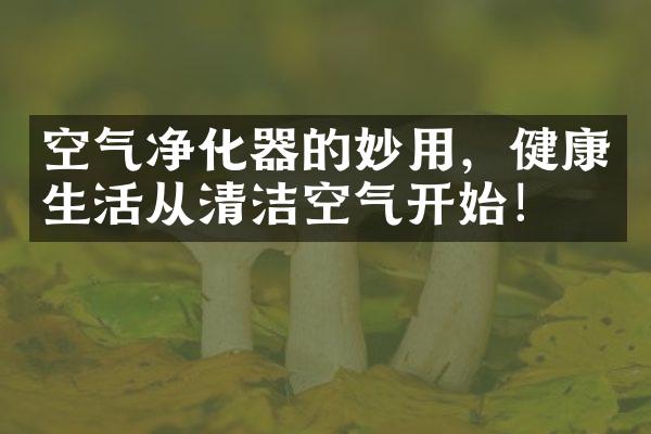 空气净化器的妙用，健康生活从清洁空气开始！