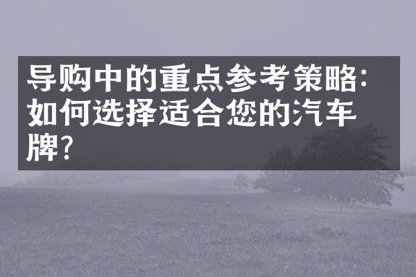 导购中的重点参考策略：如何选择适合您的汽车品牌？