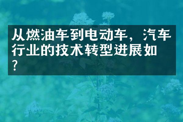 从燃油车到电动车，汽车行业的技术转型进展如何？