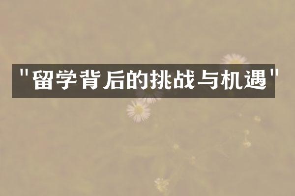 "留学背后的挑战与机遇"