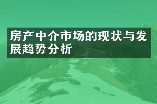 房产中介市场的现状与发展趋势分析