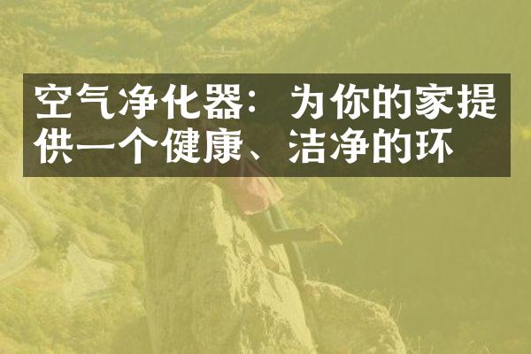 空气净化器：为你的家提供一个健康、洁净的环境