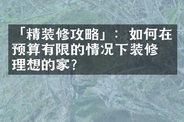 「精装修攻略」：如何在预算有限的情况下装修出理想的家？