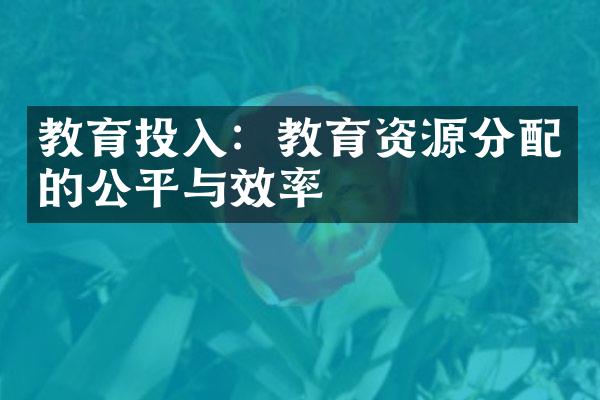 教育投入：教育资源分配的公平与效率