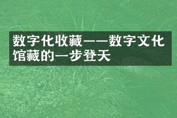 数字化收藏——数字文化馆藏的一步登天