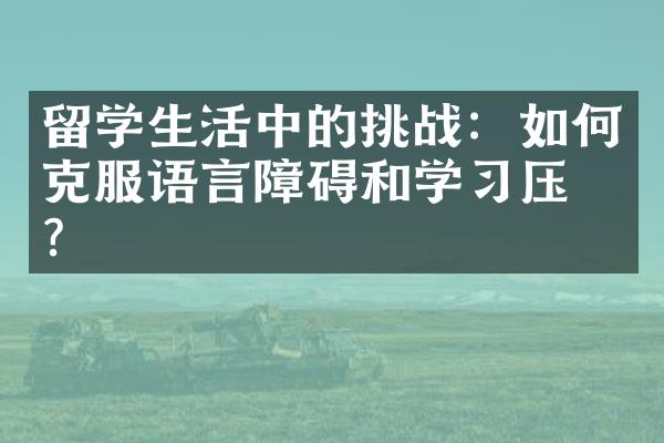 留学生活中的挑战：如何克服语言障碍和学习压力？