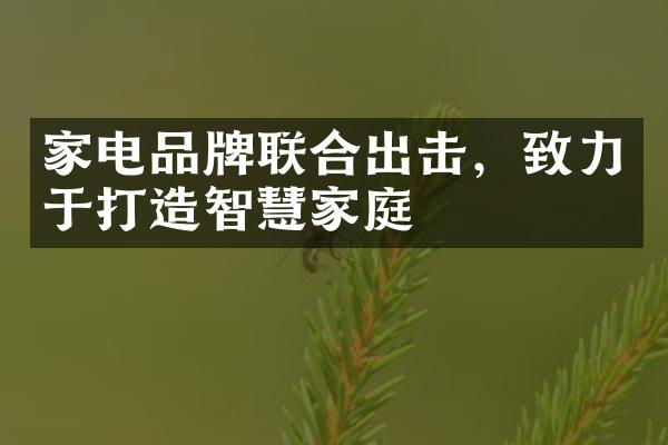 家电品牌联合出击，致力于打造智慧家庭