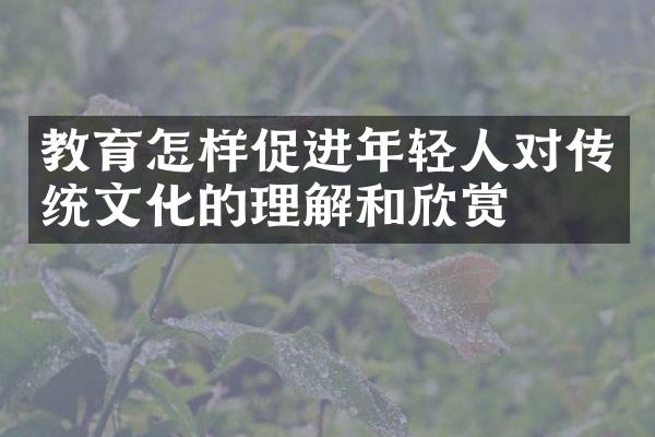 教育怎样促进年轻人对传统文化的理解和欣赏