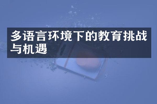 多语言环境下的教育挑战与机遇