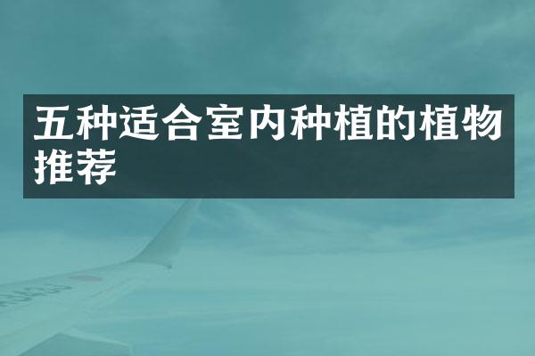 五种适合室内种植的植物推荐