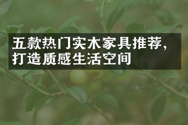 五款热门实木家具推荐，打造质感生活空间