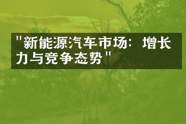 "新能源汽车市场：增长潜力与竞争态势"