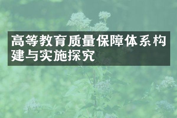 高等教育质量保障体系构建与实施探究