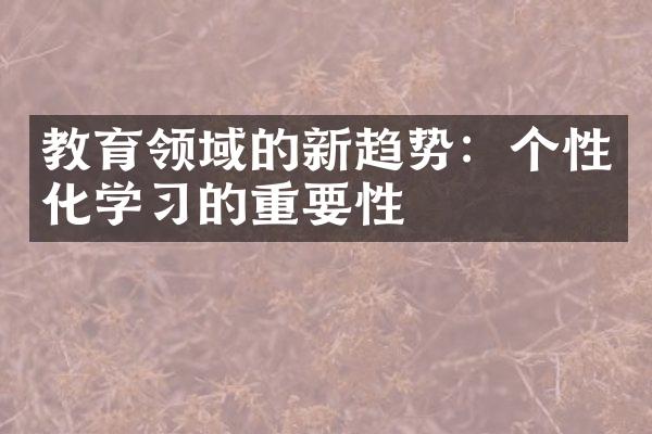 教育领域的新趋势：个性化学习的重要性